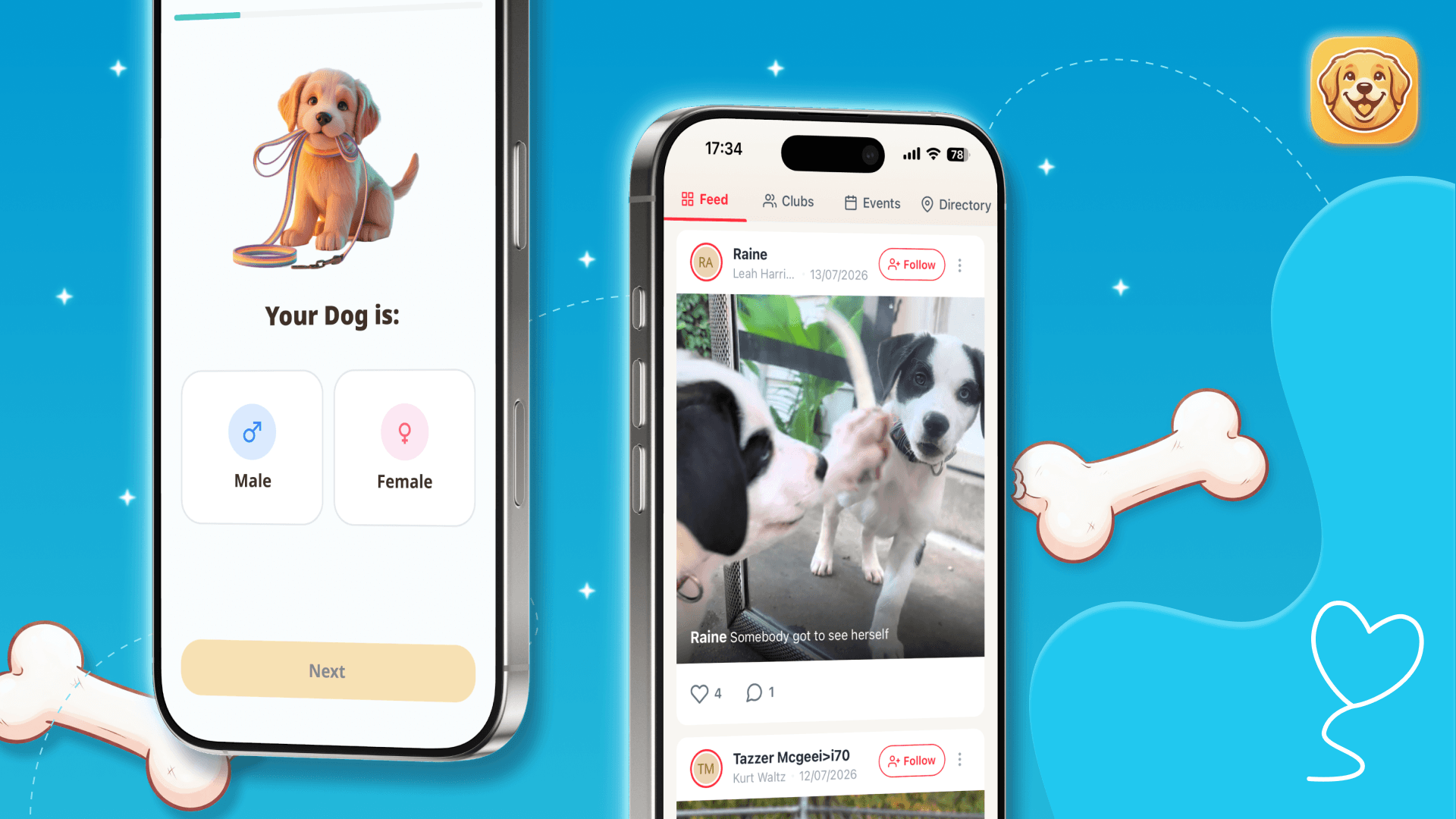 Dog Care - Training Plans preview